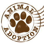 ANIMAL ADOPTION PAW_BROWN