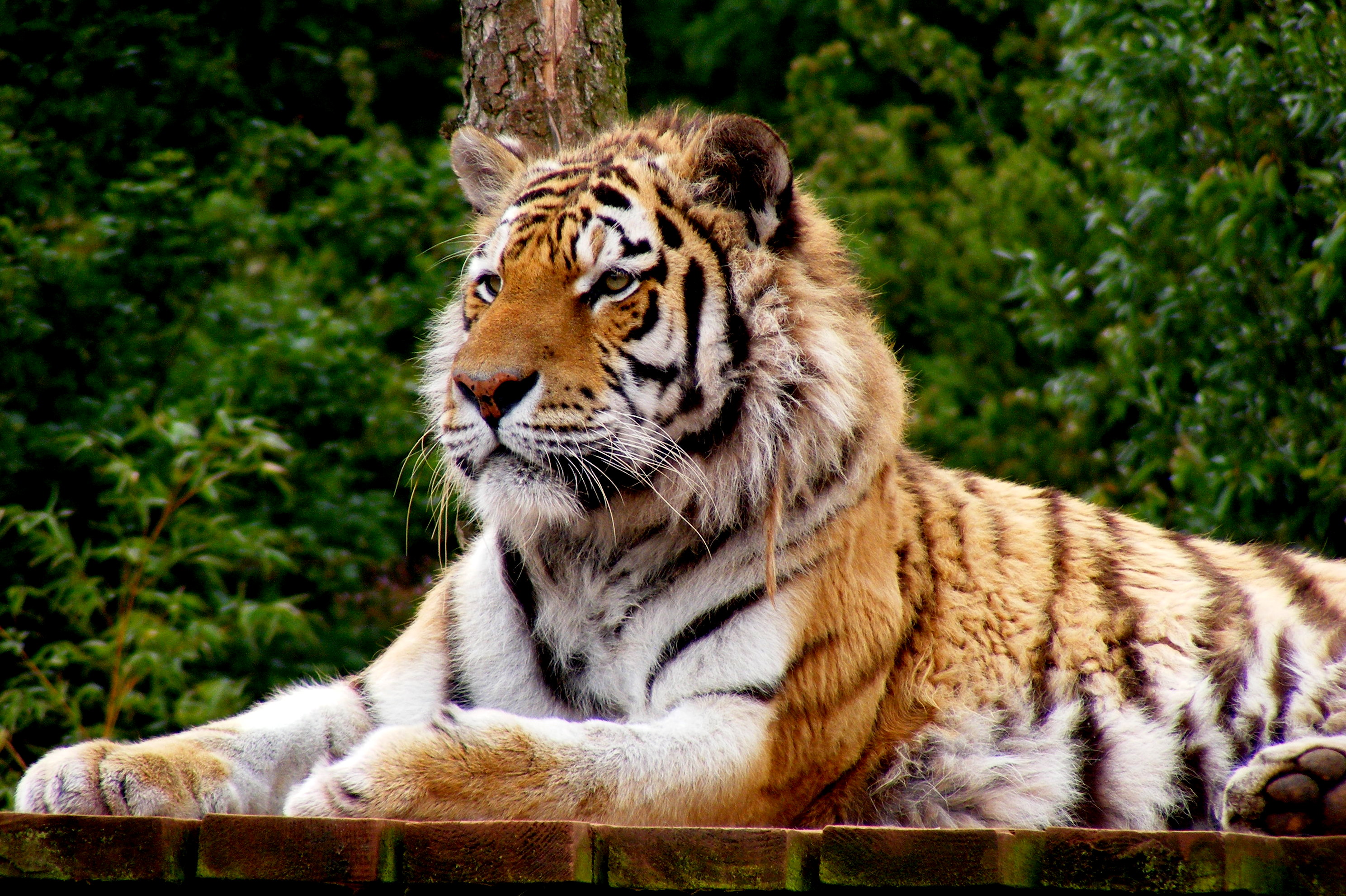 amur-Sarah-Binns-age-28-MAIN