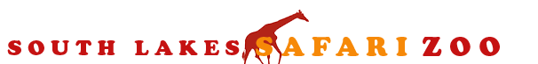South Lakes Safari Zoo