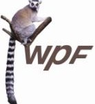 wpf lowest res