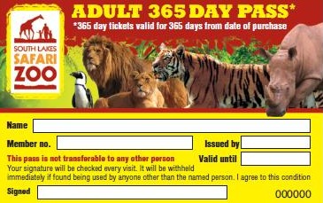 365 passes