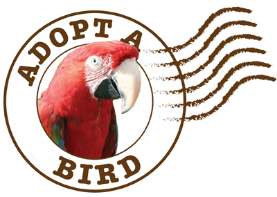 ADOPT A BIRD
