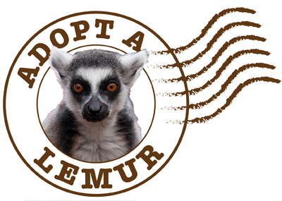 ADOPT A LEMUR