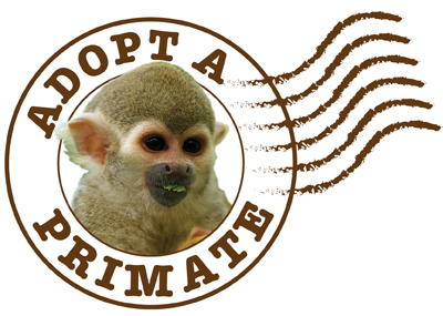 ADOPT A PRIMATE