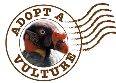 ADOPT A VULTURE