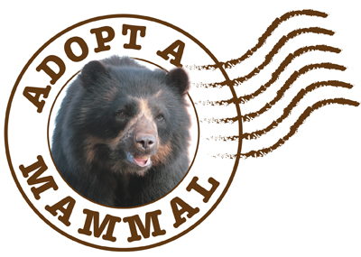 ADOPT MAMMAL