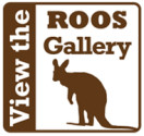 ROOS gallery