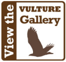 VULTURE gallery