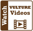 VULTURE videos