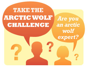 arctic wolf challenge