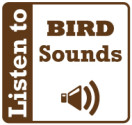 bird sounds