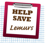 help save lemurs