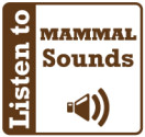 mammal sounds