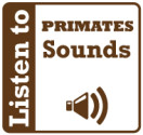 primates sounds
