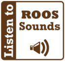 roos sounds