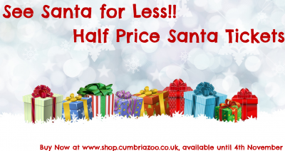 HO HO HO-nly 53 more sleeps!