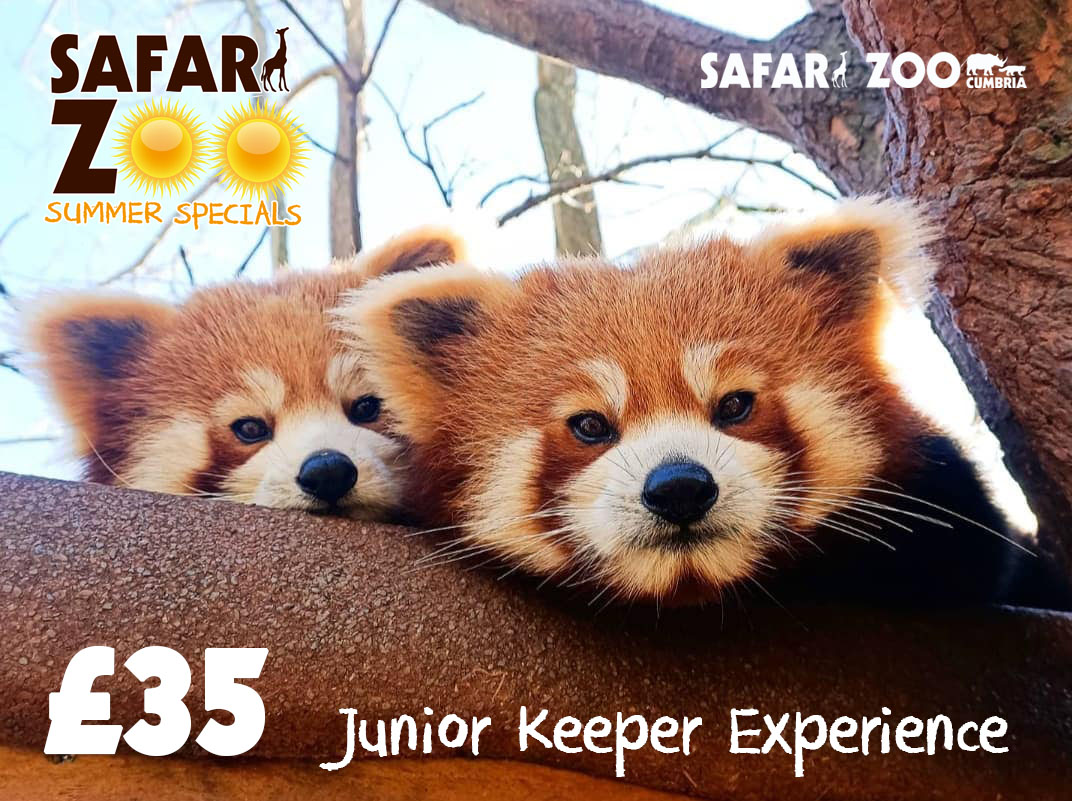 Easter: 2024 3