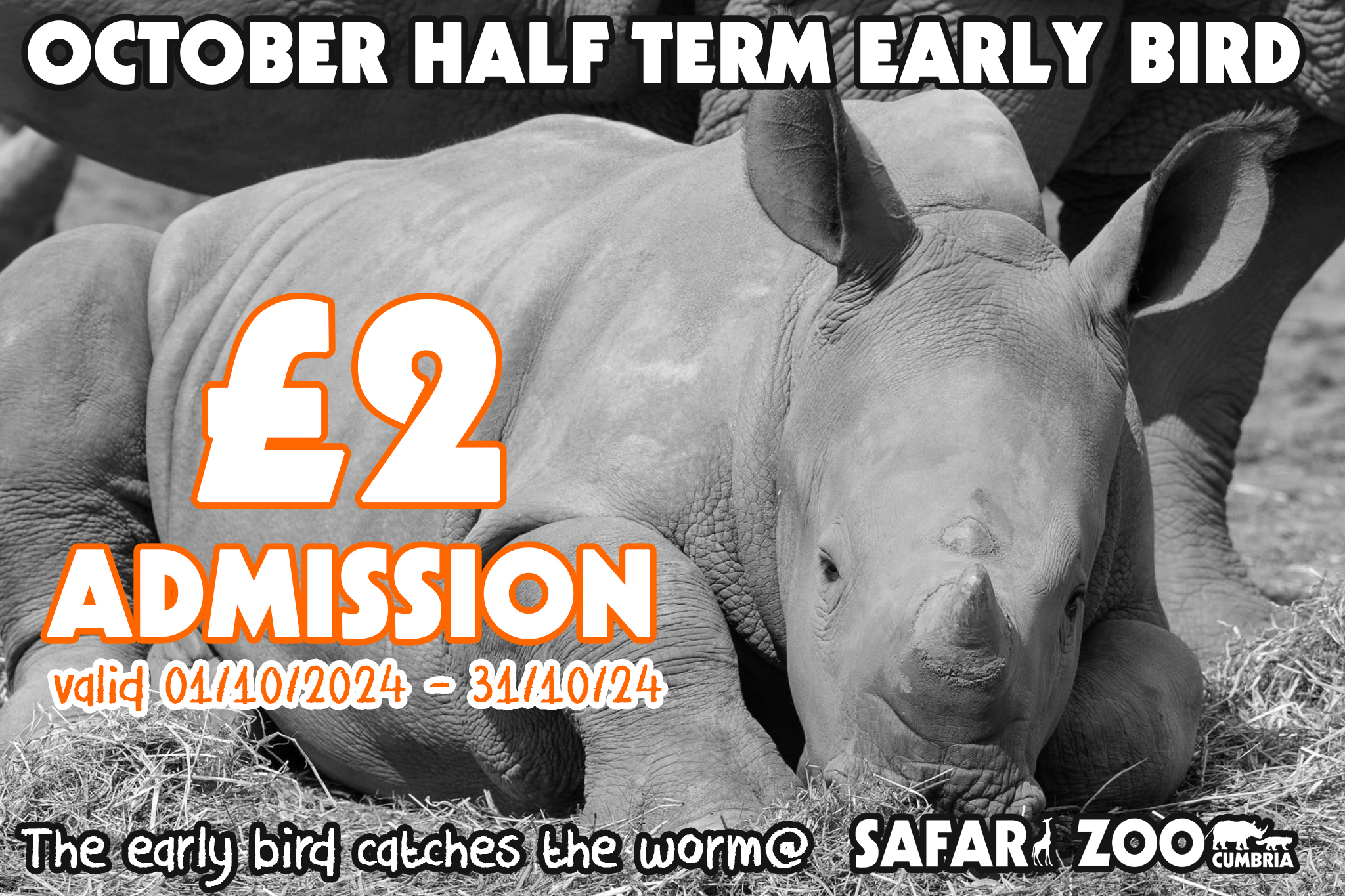 £2 OCTOBER ADMISSION - including HALF TERM